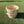Load image into Gallery viewer, Wood Practice Basket
