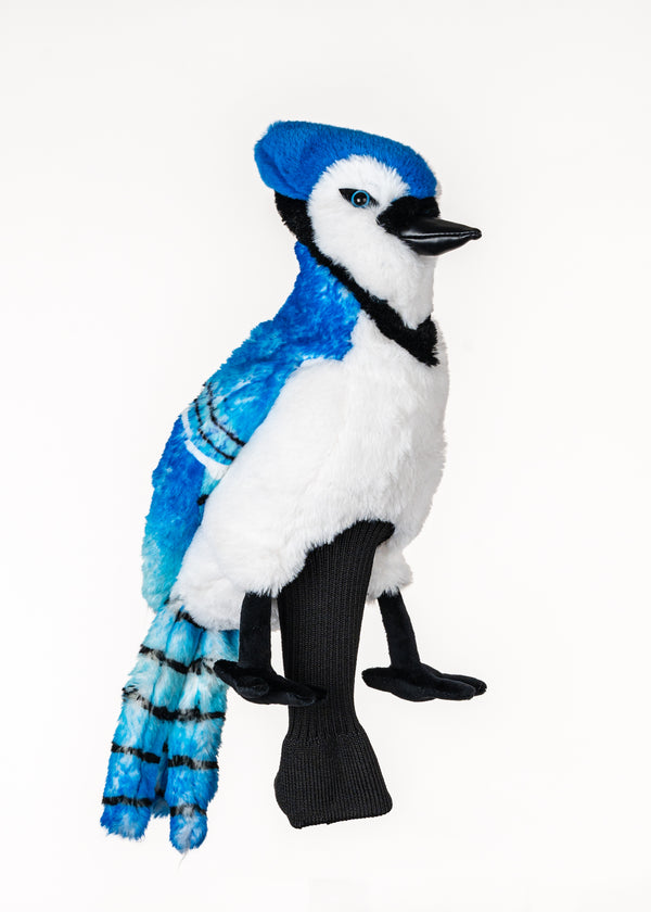 Blue Jay Head Cover