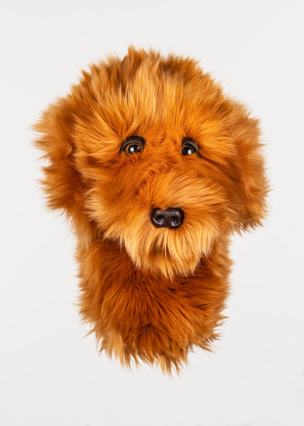 Doodle Head Cover